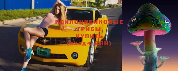прущие грибы Баксан