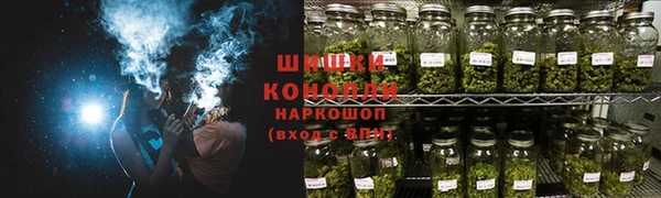 прущие грибы Баксан