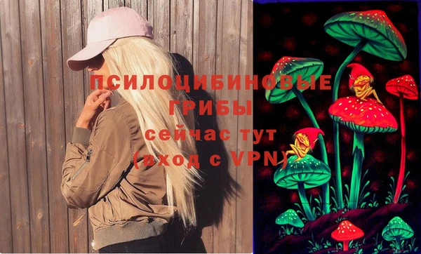 apvp Балахна
